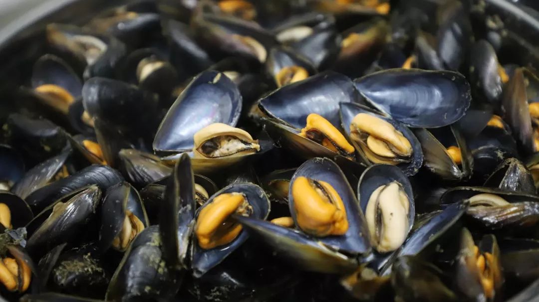 全国包邮数亿斤日照岚山大量海虹透肥争鲜等您伸援手