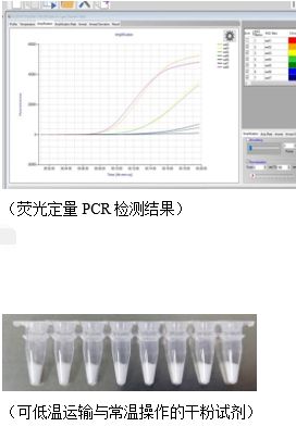 常温扩增：开启分子诊断新纪元