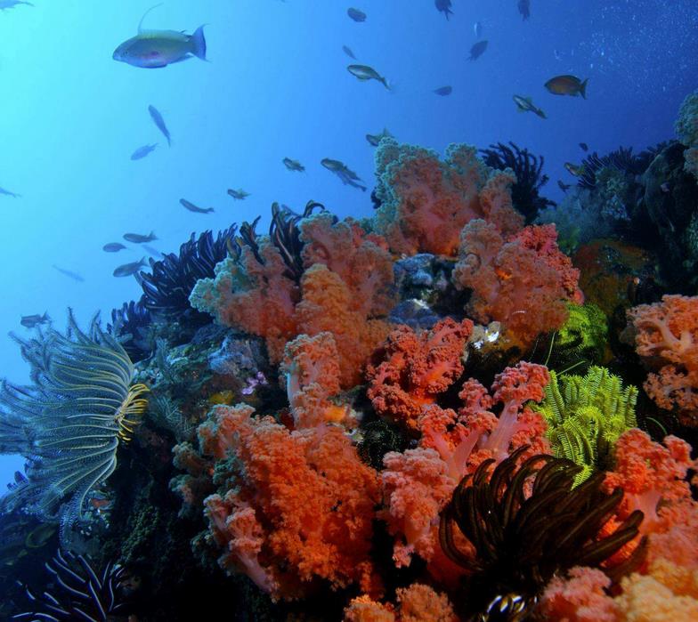 走进黄河入海解密幕后创作鲁剧面对面特别节目本周六1850播出