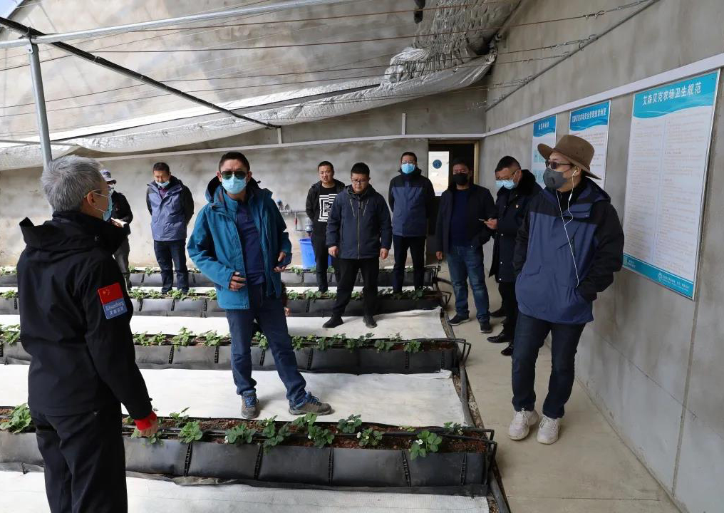 青岛援藏 助力西藏日喀则市桑珠孜区复工复产复学