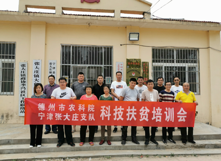 发展林下经济助力宁津脱贫攻坚