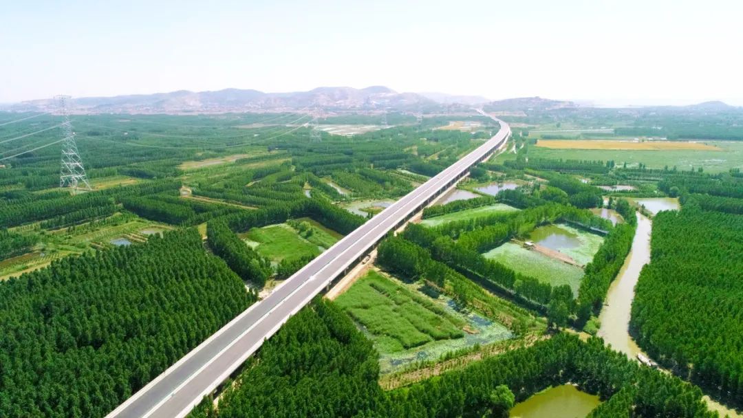 枣菏高速守住绿水青山底色筑牢生态公路根基