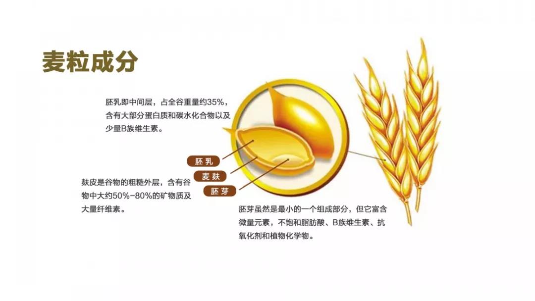 微信图片_20200610094828.jpg