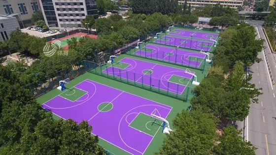 紫金篮球场图片
