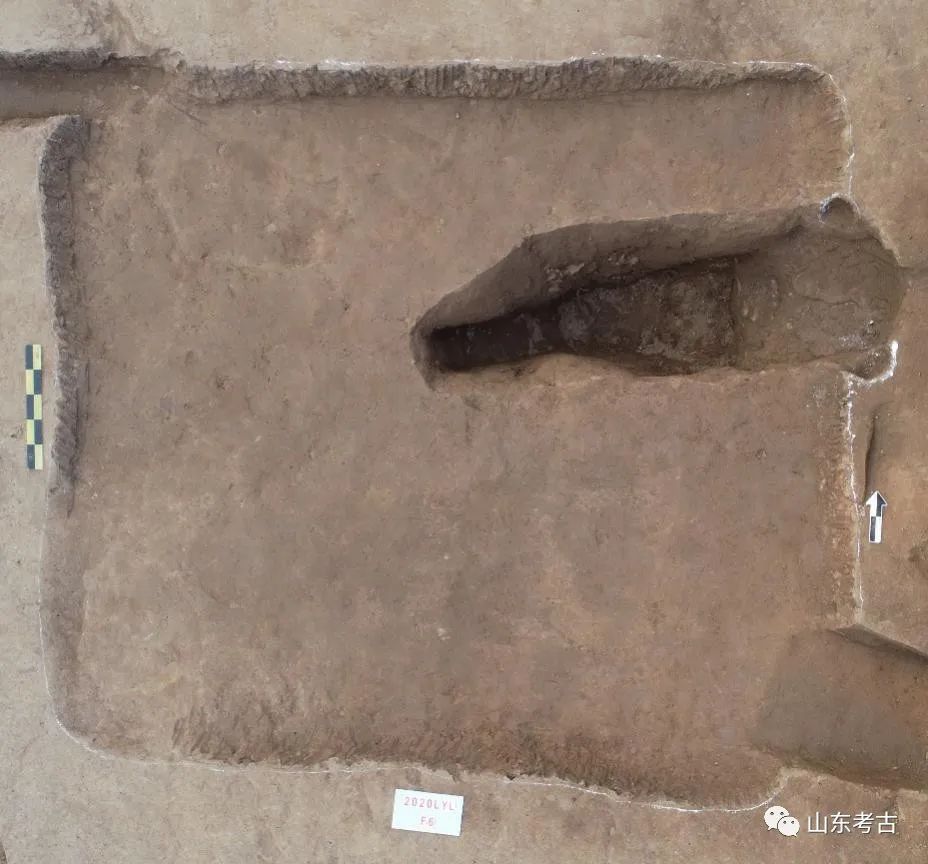 距今7000年临沂发现一处新石器时代遗存