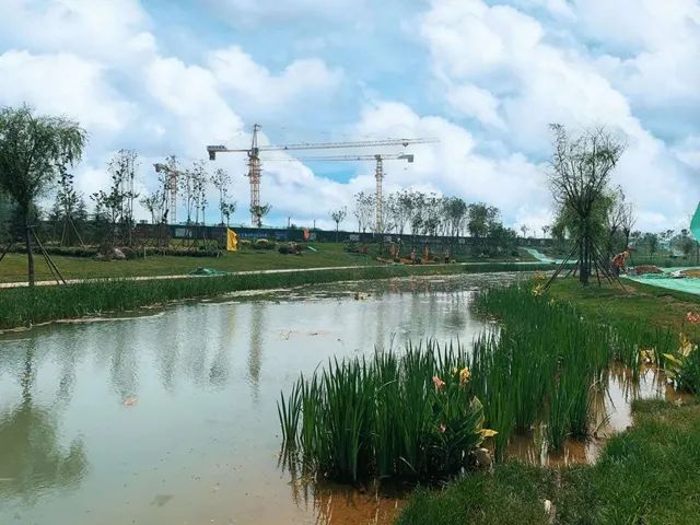 济南历城城乡水务局打造河道生态治理新样板