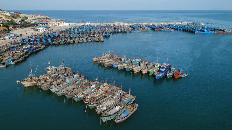 打渔归来,山东开海"第一鲜"上岸