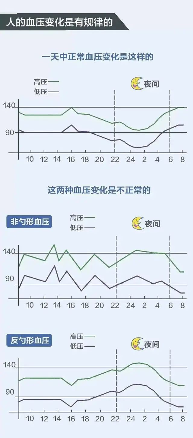 一日血压变化图图片