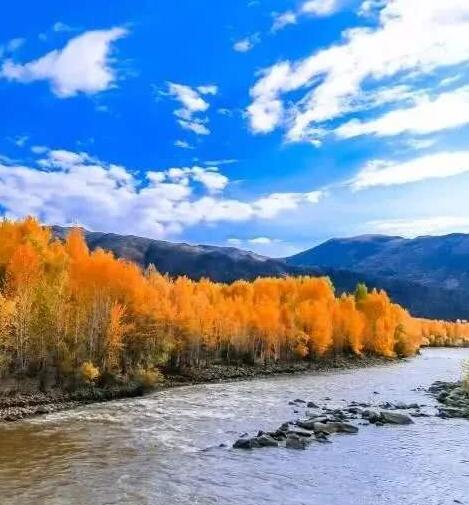 新疆完成4.67万宗集体土地确权登记更新