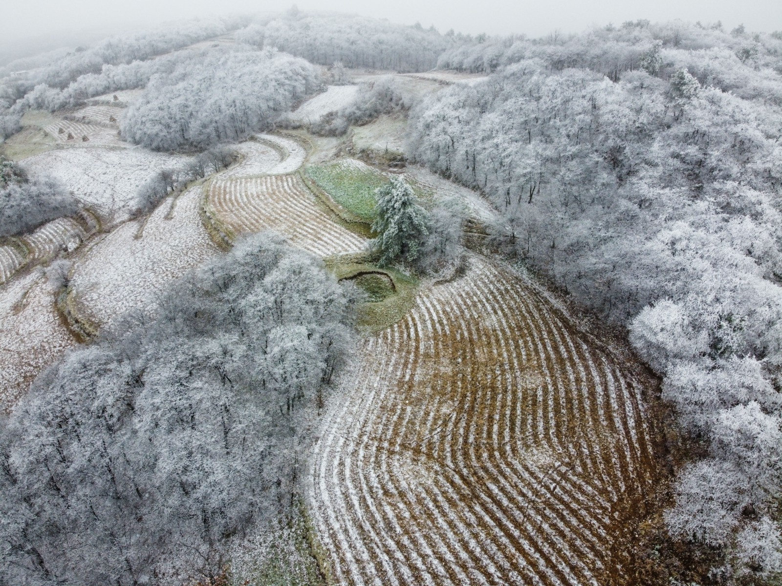 贵州毕节雪景图片大全图片