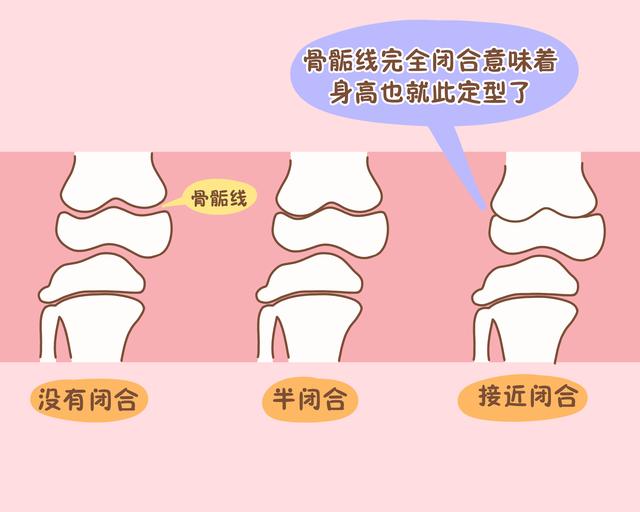 使骨干增长