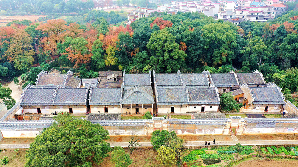 江西吉安曾家大院枫红柿熟引客来