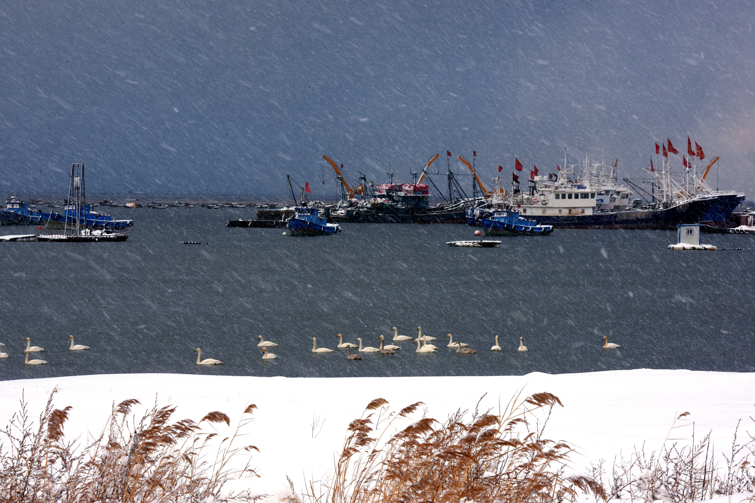 烟台威海降下大雪仙境海岸银装素裹