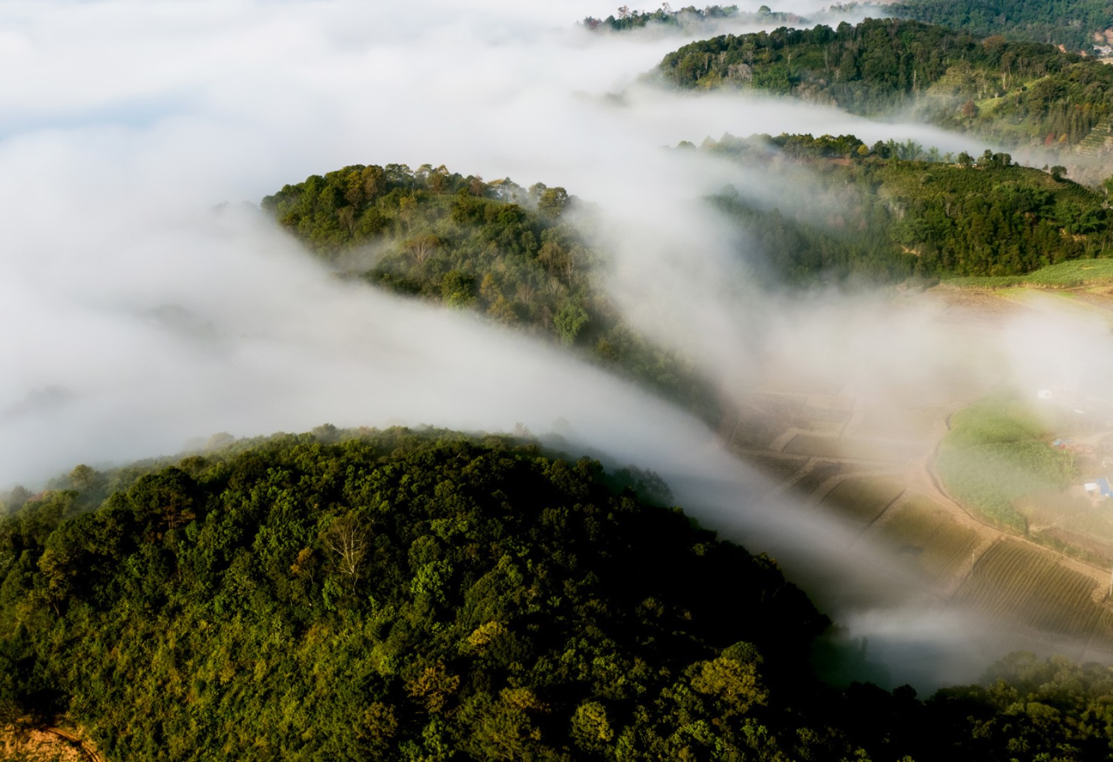这个冬天,约上朋友去看云雾漫山吧