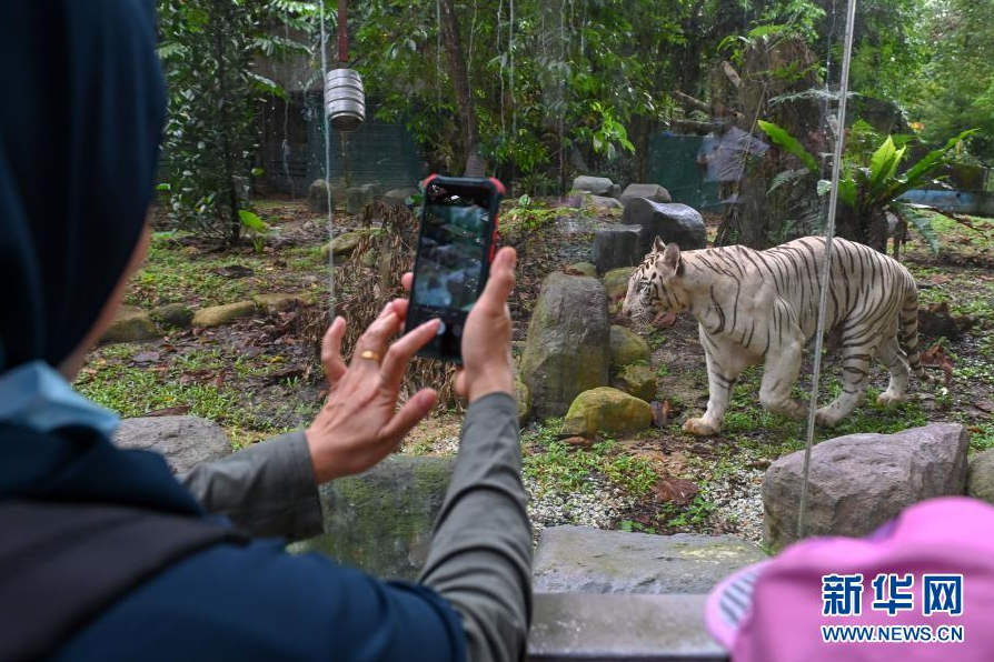 馬來西亞國家動物園重新開放