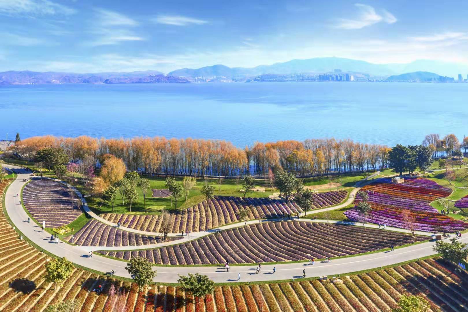 云南大理洱海环湖生态廊道美不胜收