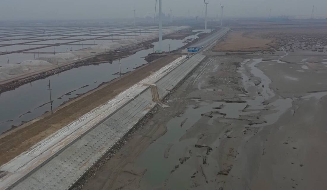 潍坊寿光市:老河口海岸带生态修复工程顺利完工