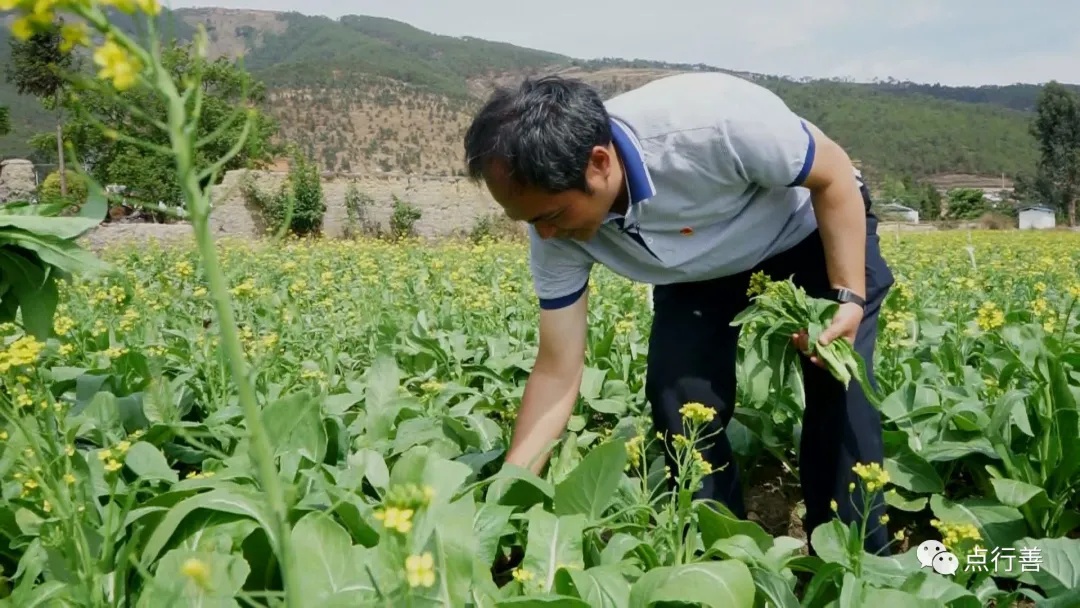 扶贫干部黄礼泉我从佛山来情系大山里