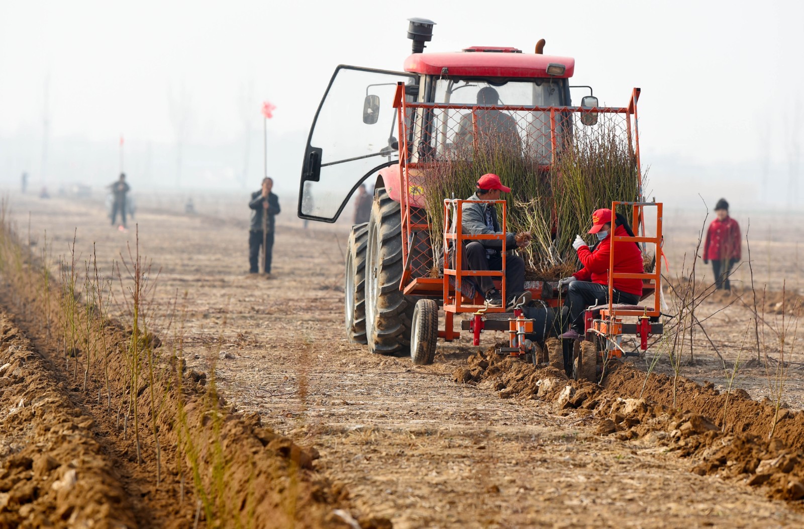 3月12日,河北省南宫市大高村镇焦旺村,村民驾驶植苗机进行植树作业.