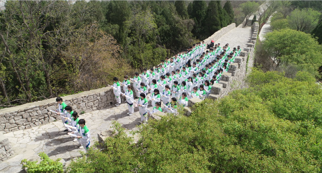 淄博生態文化遊東營市勝利新西蘭學校研學旅行走進原山國家森林公園