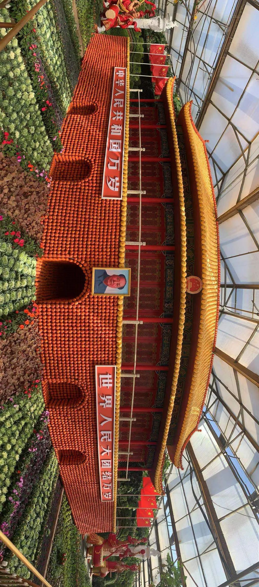 菜博会剧透攻略来了戳