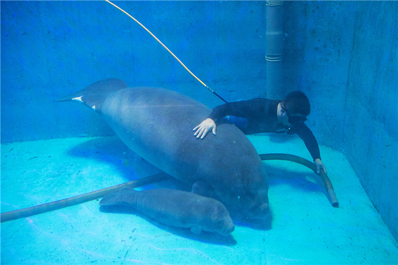 51cdf481e599a03268b532b4ef465862.jpg V11.jpg