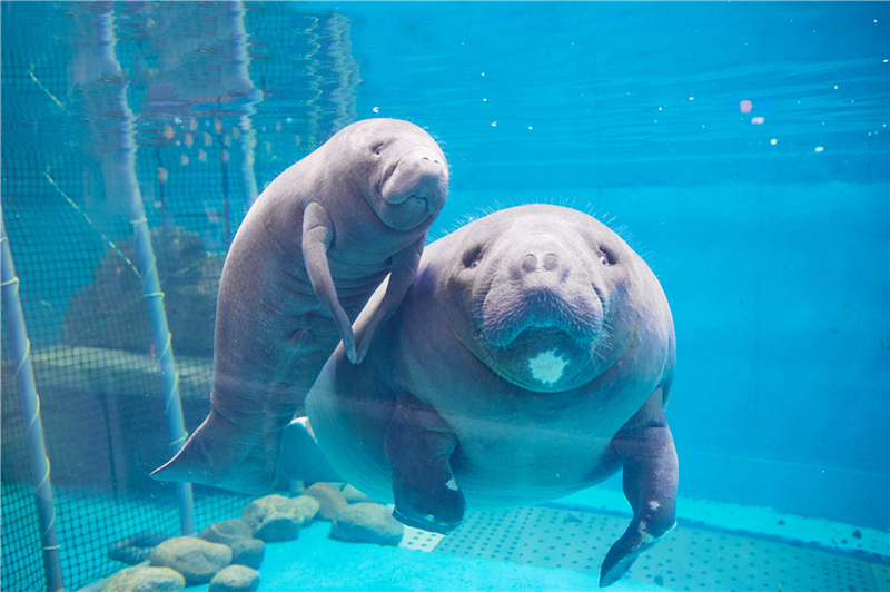 5899fbbbdbdc5604350098fa87924d0b.jpg V33.jpg