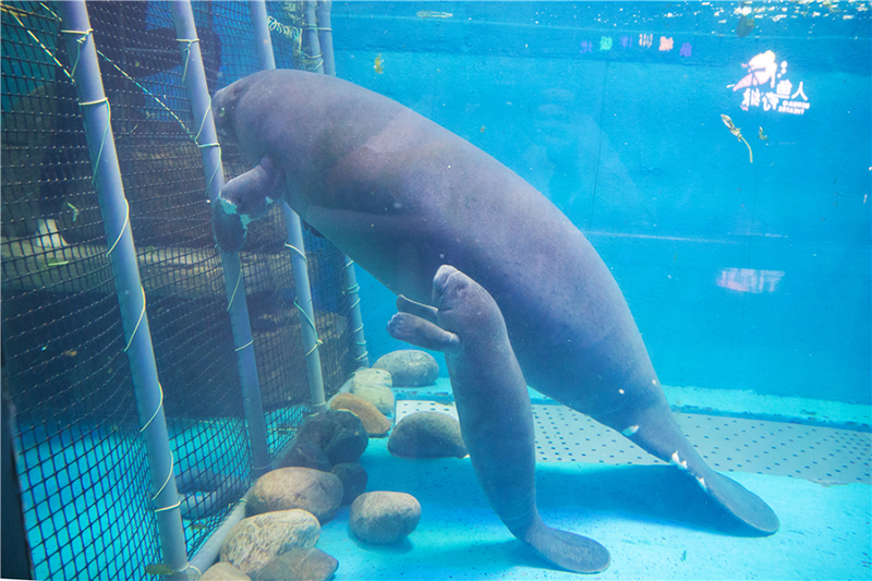 b28b3656496a27c9a441c5fb78797469.jpg V22.jpg