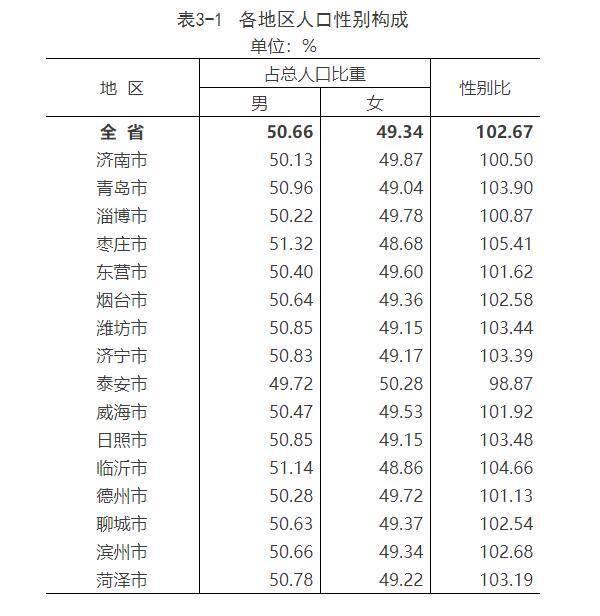 济南市人口查询系统_济南市监控系统示意图(3)