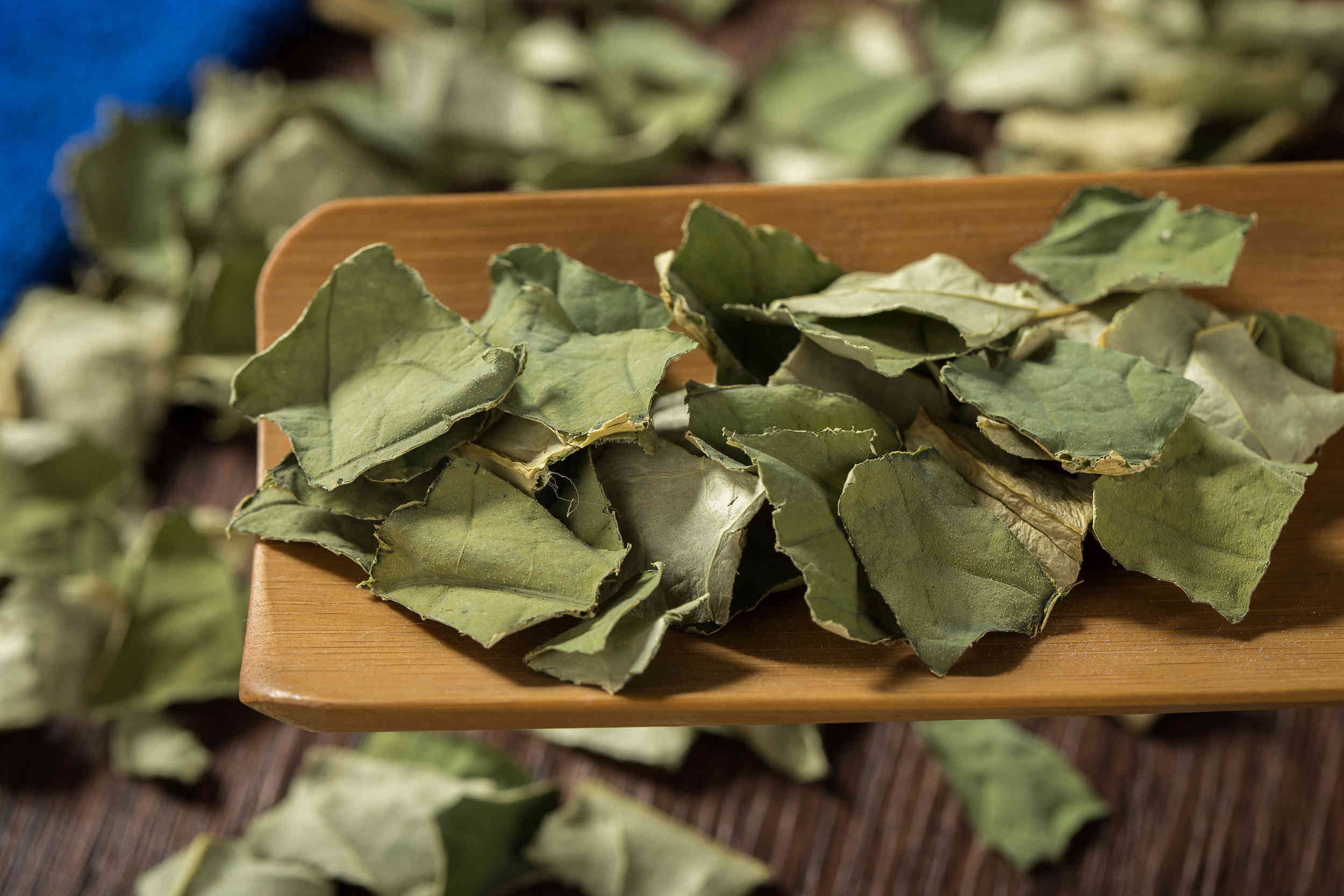 ②巧养生助您轻松度过夏季中医中药进万家药膳推广活动之养生篇