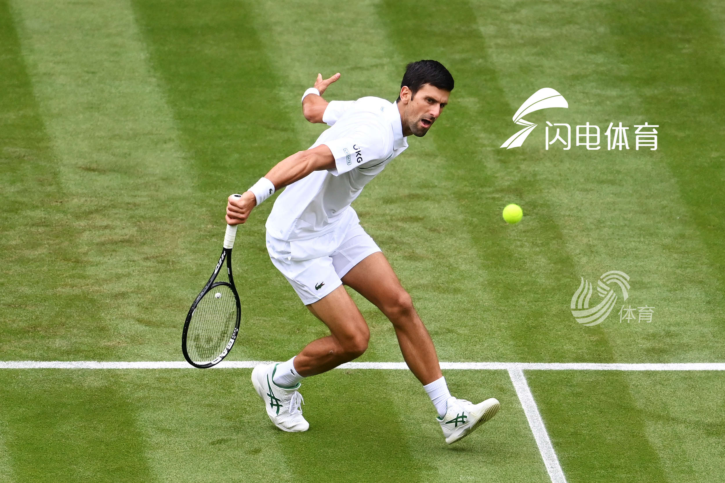 温网次轮德约豪取16连胜7种子顺利过关