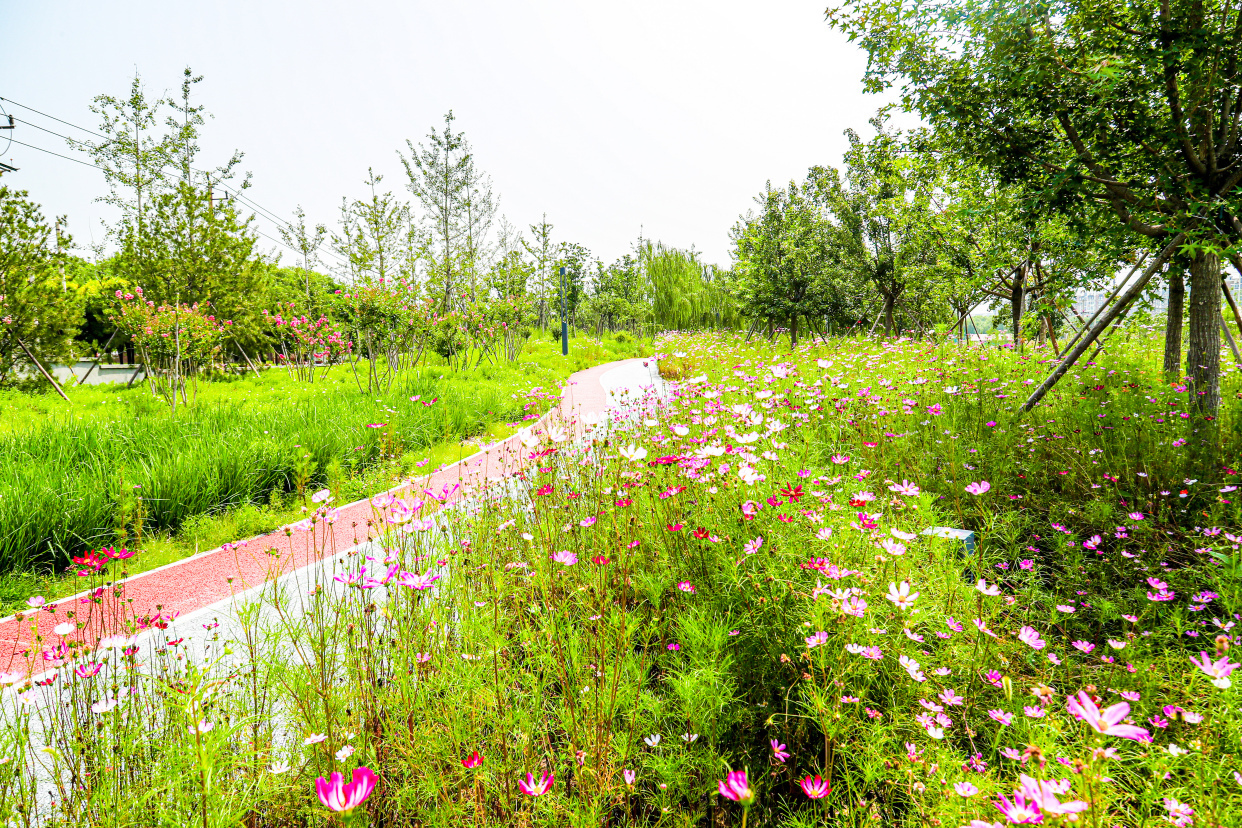丰台区今年底建成区公园绿地500米服务半径覆盖率将达80
