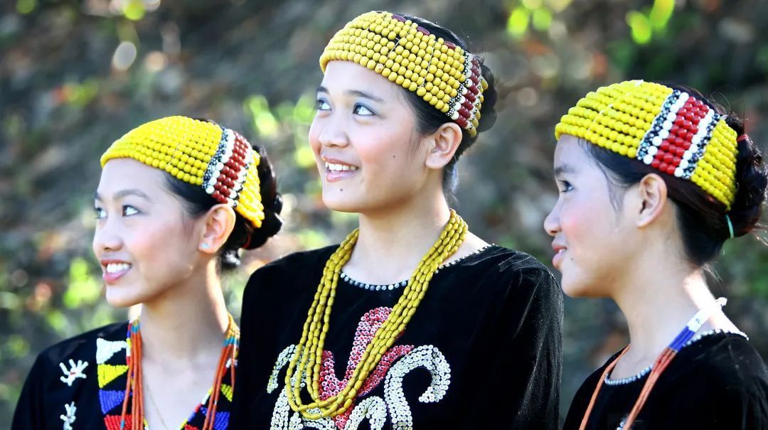 文莱2021服贸会一带一路文化旅游推介展之二