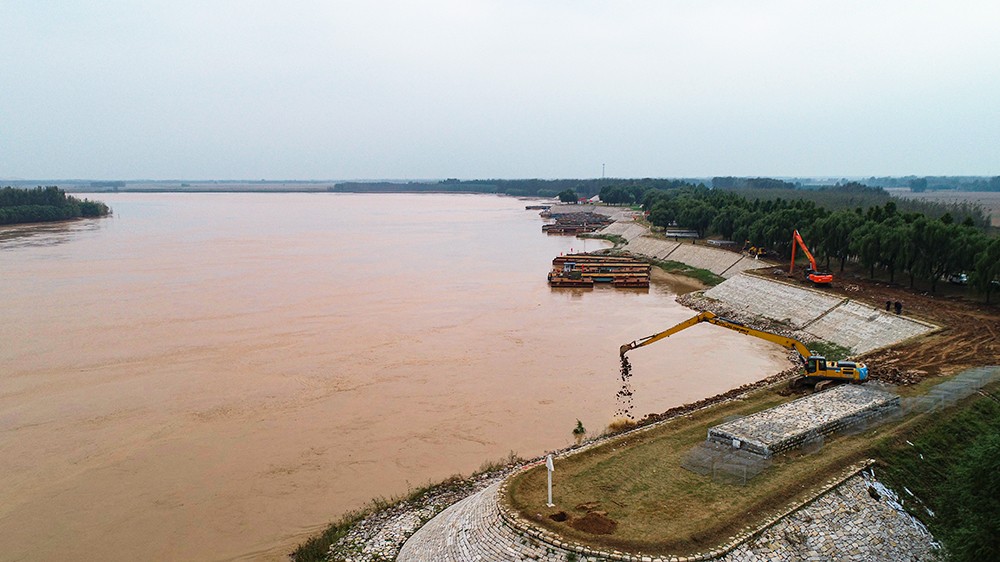 抛石加固巡堤查险齐河黄河河务局24小时巡查值守确保秋汛河堤安全