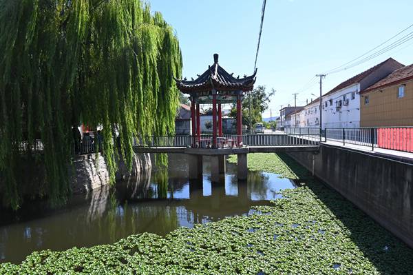 青州市邵庄镇如诗如画这里是我们的家