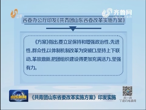 《共青团山东省委改革实施方案》印发实施