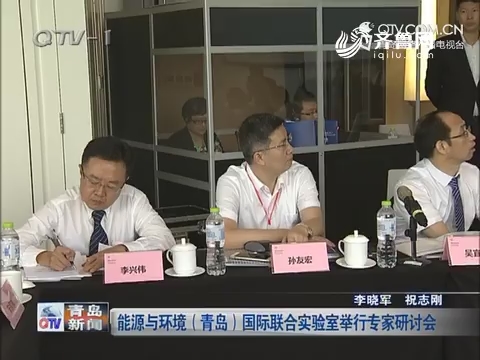能源与环境（青岛）国际联合实验室举行专家研讨会