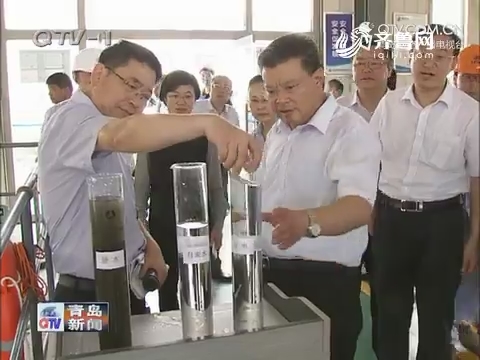 孟凡利到李村河流域督导解决中央环保督察组转办信访问题