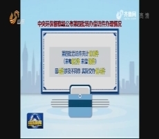 中央环保督察组公布第四批转办信访件办理情况