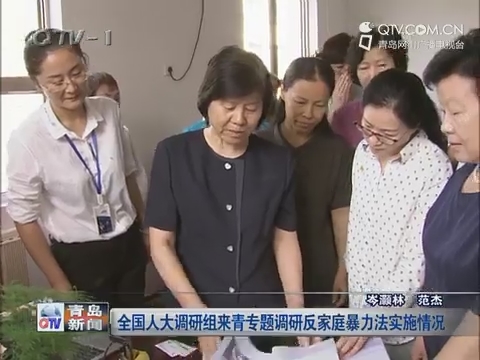 全国人大调研组来青专题调研反家庭暴力法实施情况