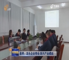 嘉祥：龙头企业带动 新兴产业崛起