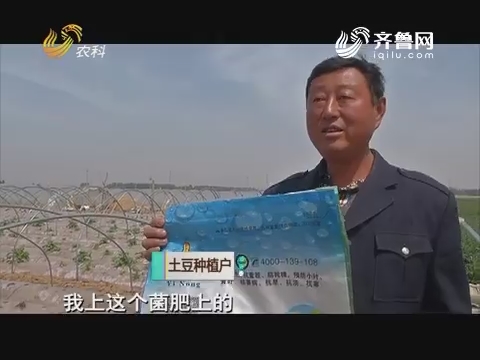 百亩土豆绝产 谁来担责？