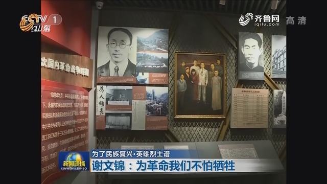 山东广播电视台官方网站