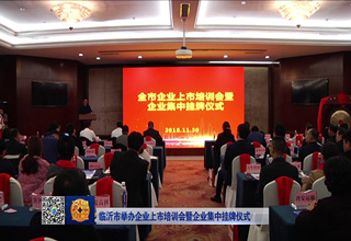 2018年临沂工业经济总量_临沂经济开发区规划图(2)