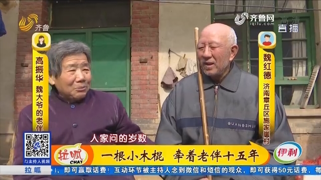 济南：一根小木棍 牵着老伴十五年