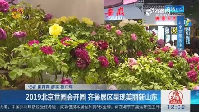 【闪电连线】2019北京世园会开园 齐鲁展区呈现美丽新山东