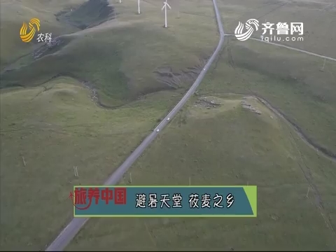 20190913《旅养中国》：避暑天堂 莜麦之乡