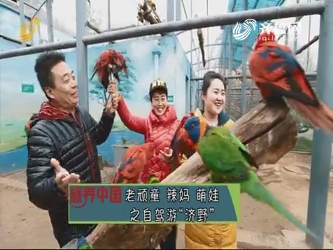 20190920《旅养中国》：老顽童 辣妈 萌娃之自驾游“济野”