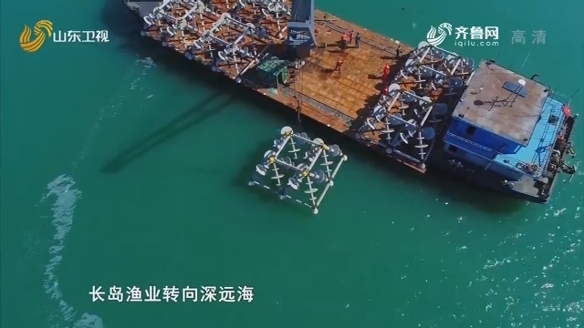 奋进新山东——第四集：为了美丽的绿水青山