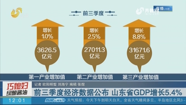 山东gdp增长视频_2018上半年山东GDP同比增长6.6 暂居全国第三位